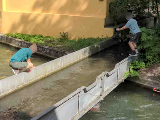 Foto: Liliom Kanal über Kanal